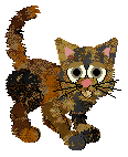 tiger21