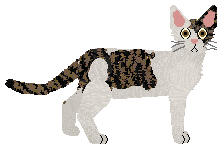 SGCh. Tombstone's I am Dog Now "Max"